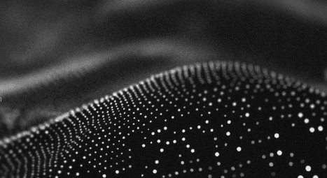 À propos de Sil Talents Tech